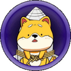 SpaceDoge